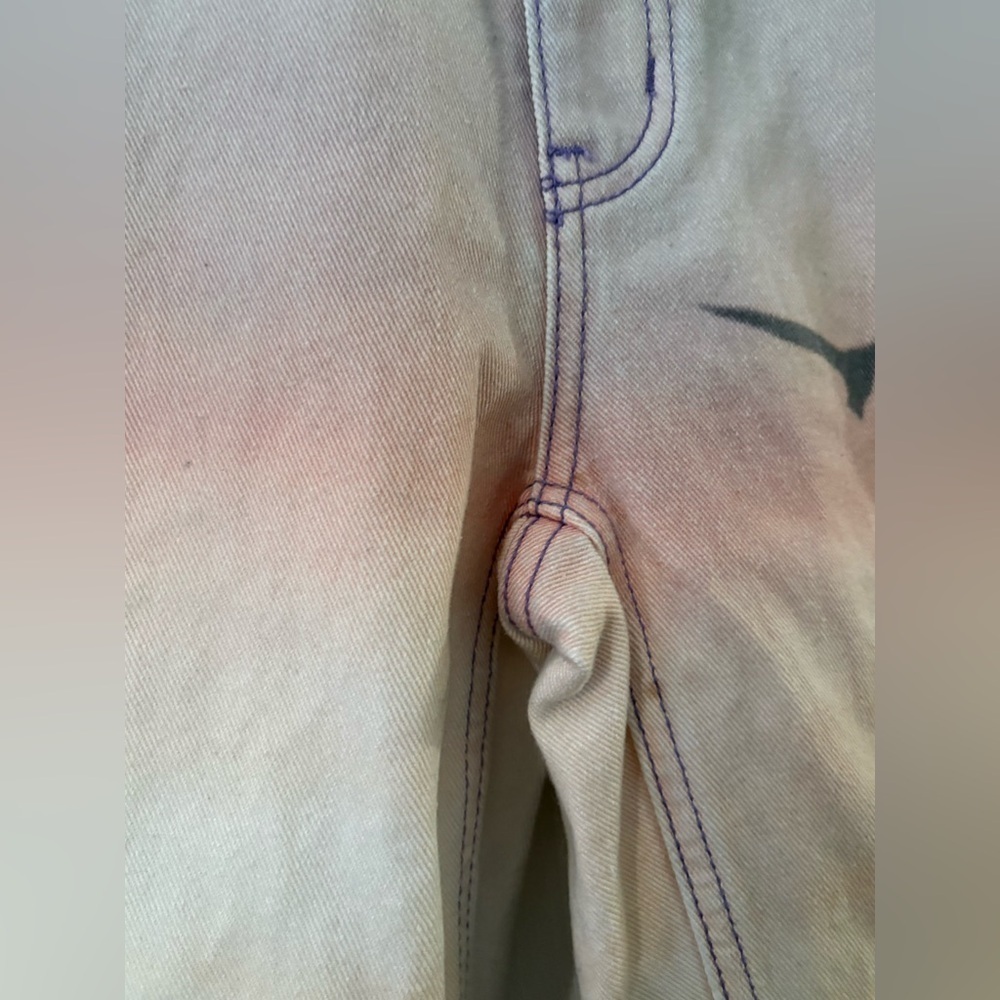 BDG Urban Outfitters cowboy sunset jeans size 25 birds ombré - Picture 5 of 16